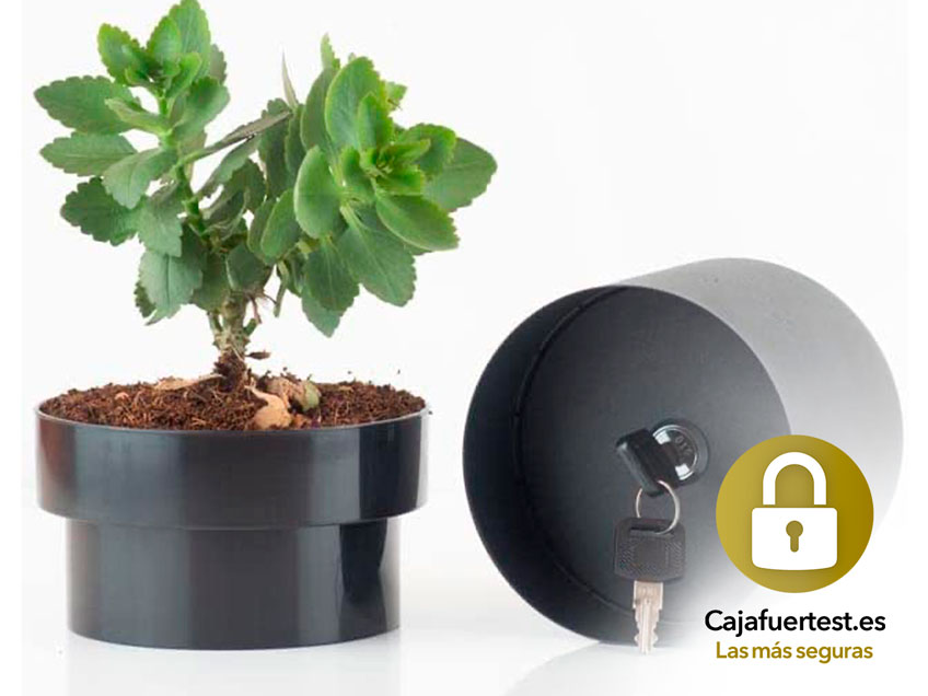 caja fuerte planta